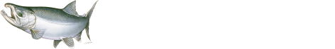 有限会社石川商店